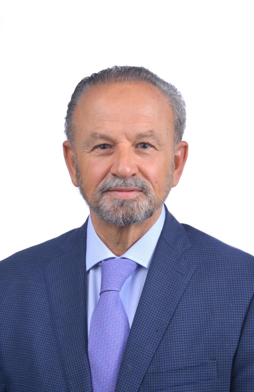 السيد محمد بهجت البلبيسي